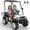 White, variant on Kids Golf Cart, 24 Volt Ride on Cars, 4WD 2 Seater Electric Cars with Remote Control, Ride on Truck for Big Kids Ages 3-8, With Detachable Awning & Large Storage, 3 Speeds, Music, LED Lights, White