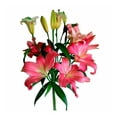 thumbnail image 1 of Ramo flor oriental, 1 of 3