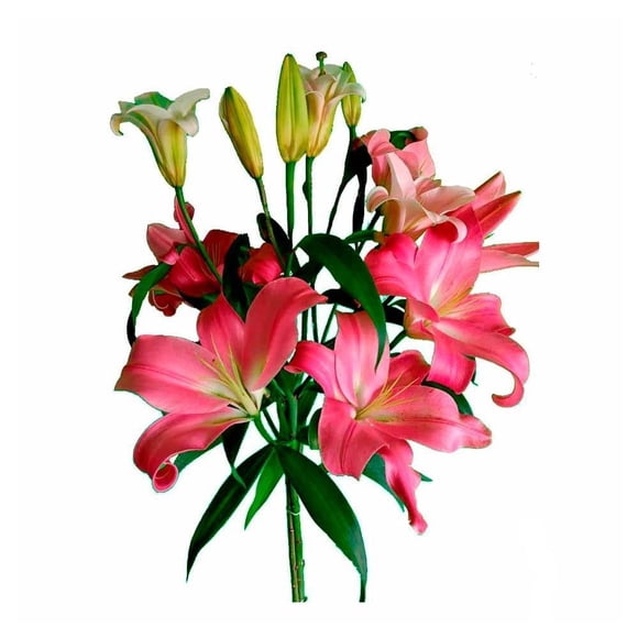 Ramo flor oriental