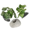 thumbnail image 3 of Artificial Aquarium Plants Simulation Aquarium Decorations Set with Ceramic Rock Cave for Fish Tank, 3 of 5