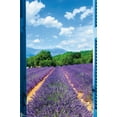 thumbnail image 1 of Lavender Field Wall Poster, 22.375" x 34", 1 of 4
