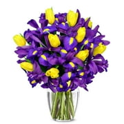 From You Flowers - Sunny Tulip and Iris Bouquet for Birthday, Anniversary, Get Well, Congratulations, Thank You, All Occasions