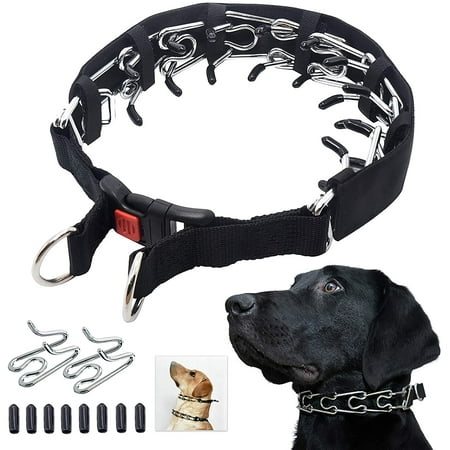 Prong collar chewy Clearance