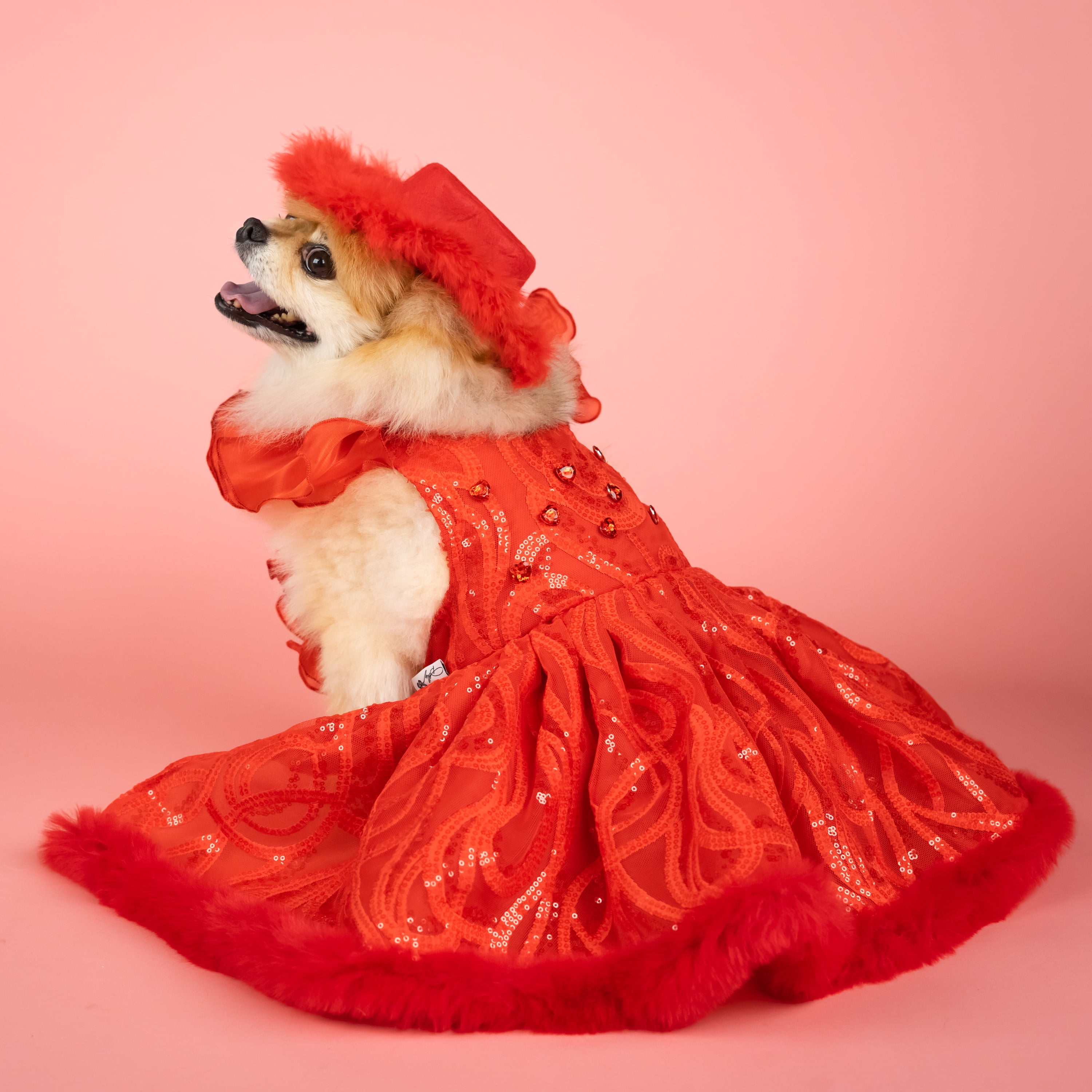 QYマステ7月新作♡Red Dress PET Doggy Parton, Dog Clothes, Evening Star Pet Gown, Red, Medium