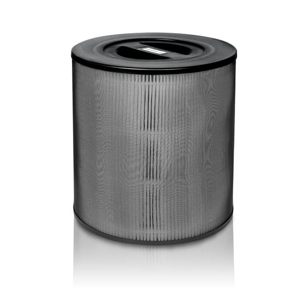 Filtro purificador de aire Kenmore KF170 H13 Efficient HEPA