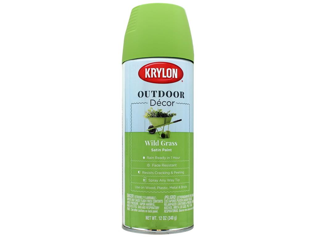 Krylon Outdoor Decor Paint Satin 12oz Wild Grass