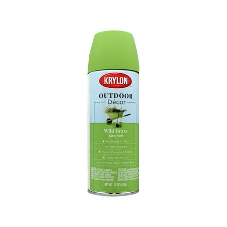 Krylon Outdoor Decor Paint Satin 12oz Wild Grass (Best Outdoor Spray Paint)