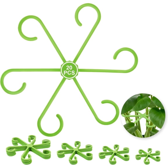 Plant Stem Support | Unique Design Indoor Plant Supports for Monstera & Thriving Growth, Four Different Size Combinations Plant Accessories