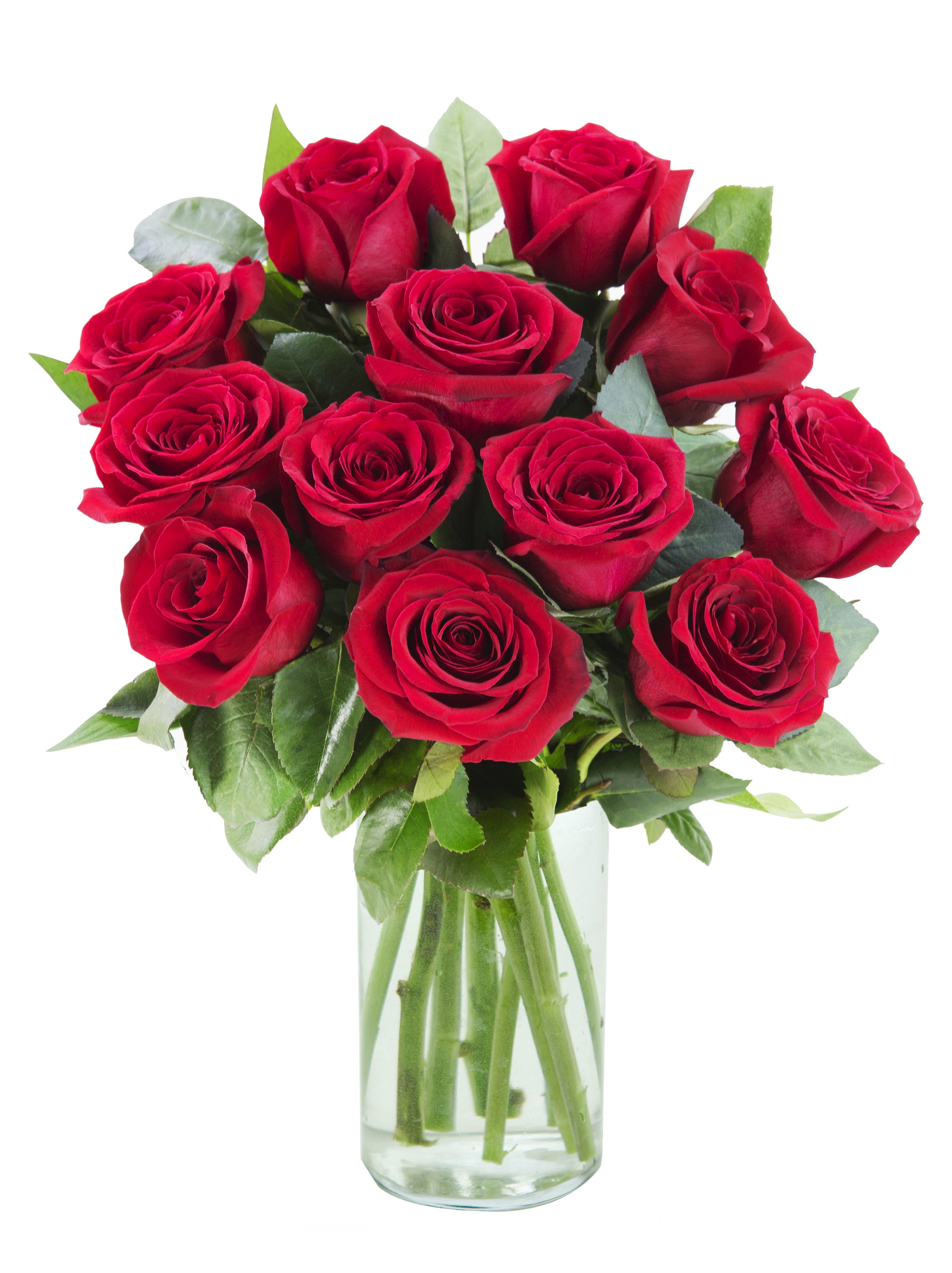 18 Red Roses with Baby's Breath by Arabella Bouquets in a Free Elegant Hand-Blown Glass Vase (Fresh-Cut Flowers, Red)