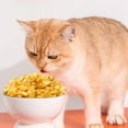 thumbnail image 4 of SharkTRUE Cat Dog Snacks Freeze Dried Grain Freezedried Granules Best Stick Grinding, 4 of 8