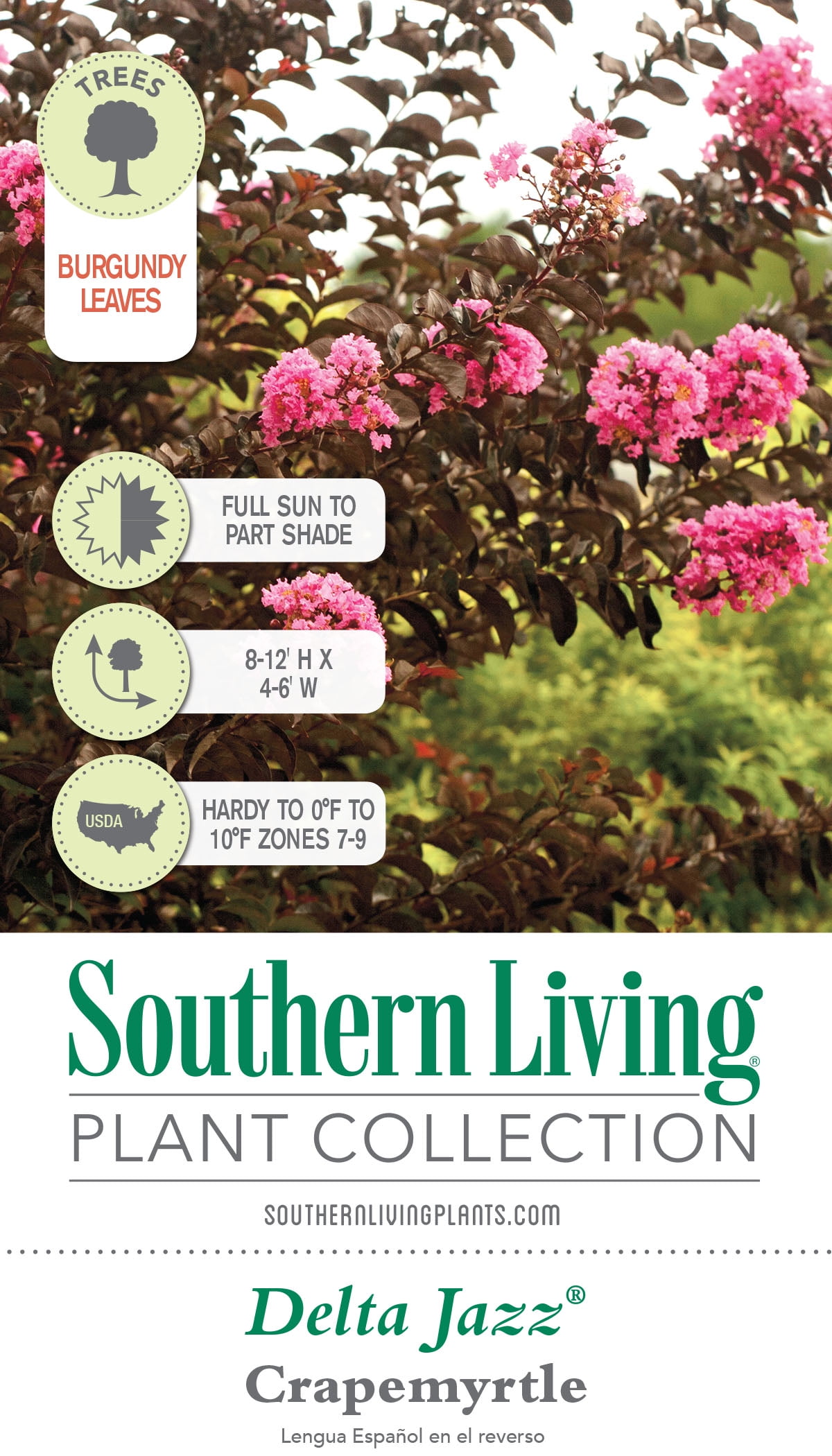Southern Living Delta Jazz Crapemyrtle Live Shrub in 2-Gallon Grower Pot