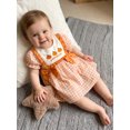thumbnail image 5 of RUINIXCW Toddler Baby Girl Halloween Dress Outfit Infant Baby Girl Summer Fall Gingham Plaid Dress Clothes Cute Pumpkin Embroidery Puff Short Sleeve A Line Dress, 5 of 9
