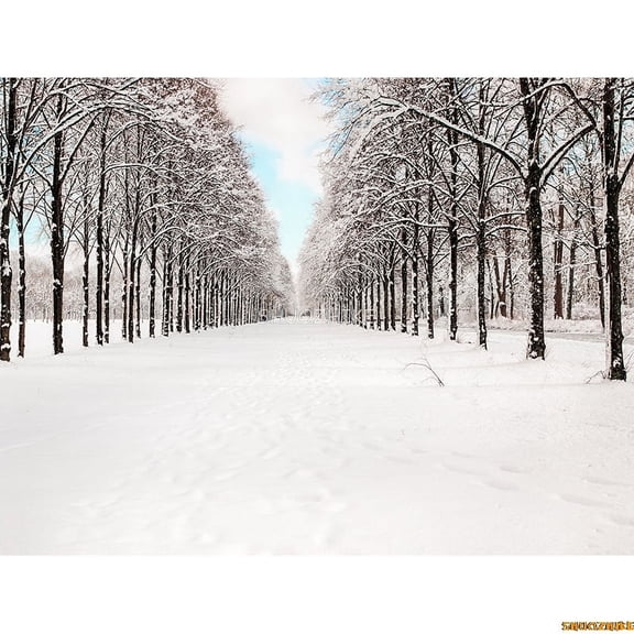 Winter Forest Snowcovered Road Photography Backdrops Blurred Landscape Snowflakes Road Spruce Trees Photo Background XD-04