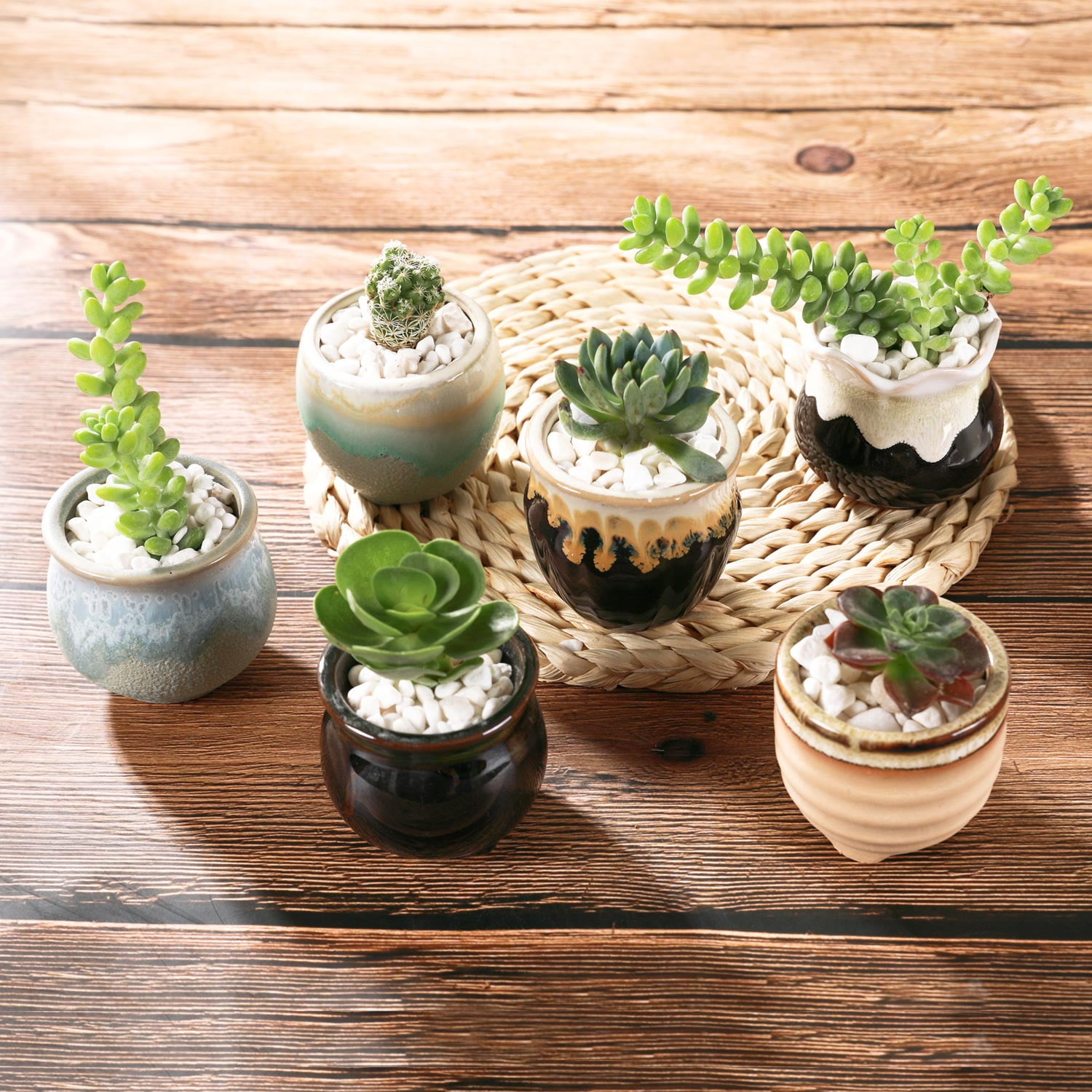 Small & Large Pot, Set Of 2 Flower Pots, Mini Succulent Cactus