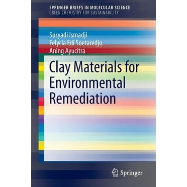 Clay Materials for Environmental Remediation (Paperback)