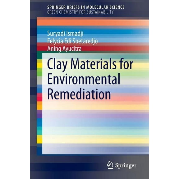 Clay Materials for Environmental Remediation, (Paperback)