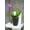 Graphite, variant on DecoPots - Self Watering Orchids Pot 5.5 inch - Wicking Pot for Flowers - Drainage and Water Level Indicator - Plant Planter 5.5", Lavender