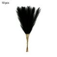 thumbnail image 2 of Tyidzon Pampas Grass, Artificial Flowers Faux Pampas Grass Decor Boho Fluffy Fake Feathers for Vase Living Room Wedding Valentines Table Centerpiece Home, 22" 10Pcs Black, 2 of 6