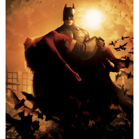 Batman Begins (Steelbook) (Blu-ray)