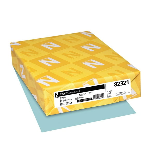 Neenah 82321 Carton de Couleur Exacte Bleu (Lot de 250)
