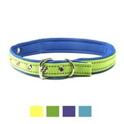 Vibrant Life Reflective Comfort Dog Collar, Green/Blue, Medium