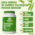 thumbnail image 4 of Zammex Organic Hydro Pea Protein Powder, Natural Flavor, Vegan Protein Powder, Plant Based, Certified USDA, 2.62 lbs, 4 of 10
