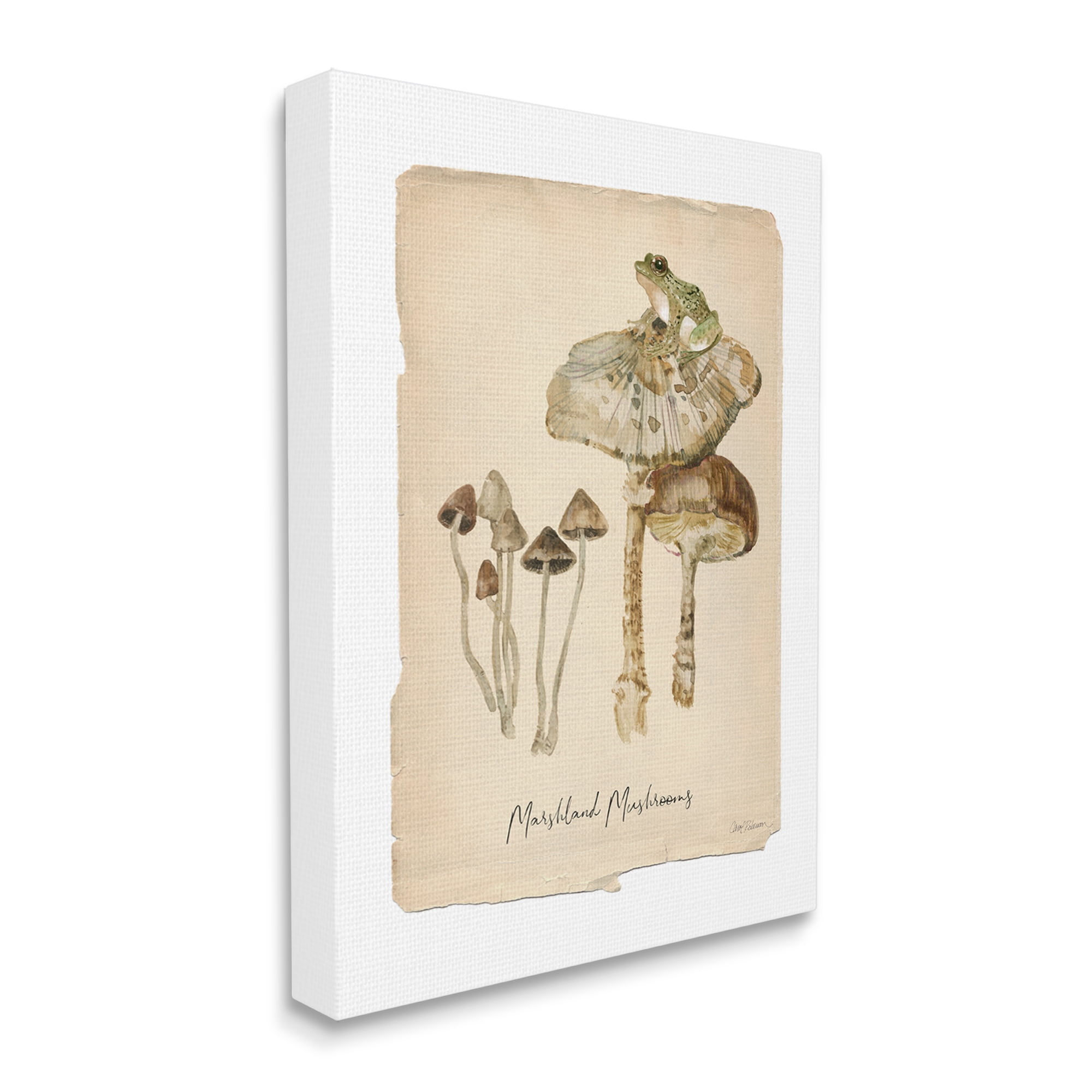 Stupell Industries Marshland Mushrooms & Frog Botanical & Floral Painting Gallery Wrapped Canvas Art Print Wall Art, 16 x 20