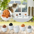 Fall Decorations for Home 5PC Teddy Dog In Eggshell Hand Made Micro