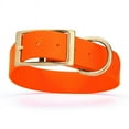 thumbnail image 2 of W 1.5" L 16-28 inch  Viper Biothane Waterproof Collar - Brass Hardware, 2 of 38