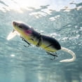thumbnail image 6 of Bisitoy Topwater Mouse Fishing Lures, Lifelike Rat Lure for Topwater Fishing in Lakes and Rivers, 6 of 6