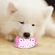 thumbnail image 4 of Juguetes Para Perros NikouMX 8 Piezas Con Sonido, 4 of 8