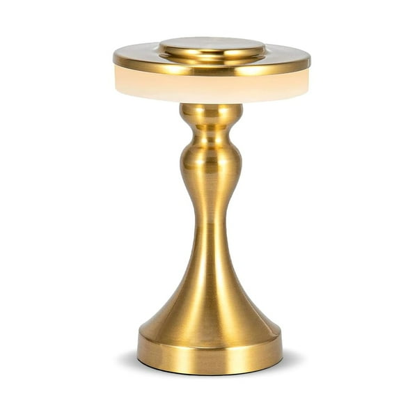 Portable Metal LED Table Lamp,Cordless Battery Table Lamp,3 Color Touch Control Rechargeable Desk Lamp,3-Levels Brightness Bedside Battery Lamp,Night Light