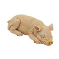thumbnail image 3 of Design Toscano Sandman and Porker, the Piggies Garden Statues: Sandman, 3 of 13