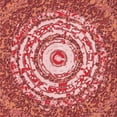 thumbnail image 1 of Ahgly Company Machine Washable Indoor Square Transitional Red Area Rugs, 5' Square, 1 of 7