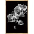thumbnail image 2 of IDEA4WALL Framed Canvas Art Wall Decor Phalaenopsis Orchid Floral Flower Photography Minimalism Modern Closeup Dramatic Black and White for Dorm Home Office - 16"x24", 2 of 5