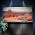 thumbnail image 3 of Aquarium Background Stickers  -  Rock, Arch, Mountain, Canyon - Fish Tank Reptile Terrarium Decor Poster, 3 of 6