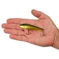 thumbnail image 4 of Berkley Ripfish, 9, Black Gold, 4 of 5