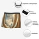 thumbnail image 3 of Fotbe Golden Drapes Pillars Clouds Calzoncillos Tipo Boxer con Bolsa de Soporte Total para Hombre, X-Temp Fresco, Transpirable y de Secado Rápido-Large, 3 of 5