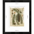 thumbnail image 3 of Vintage Conifers I, Framed Art Print Wall Art Sold by Art.Com, 3 of 6