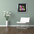 thumbnail image 3 of Trademark Fine Art "Glassberry III" Canvas Art by Color Bakery Black Matte, Silver Frame, 3 of 4