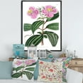thumbnail image 3 of Designart Vintage Plant Life XXIII FLOAT FRAME WALL ART, 3 of 4