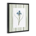 thumbnail image 2 of Stupell Industries Traditional Spring Iris And Stripes Black Floating Frame Canvas Art, 17 x 21, by Nan, 2 of 8