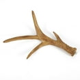 thumbnail image 5 of 6-Lights Rustic Deer Horn Antler Chandelier Pendant Light Ceiling Lamp Fixture for Parlor, bar, Restaurant, Bedroom, Home Lighting, 5 of 13