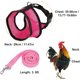 thumbnail image 2 of 3-pack, size M chicken harness with adjustable leash and breathable for pets, chicken harness for duck, goose, hen, 2 of 5