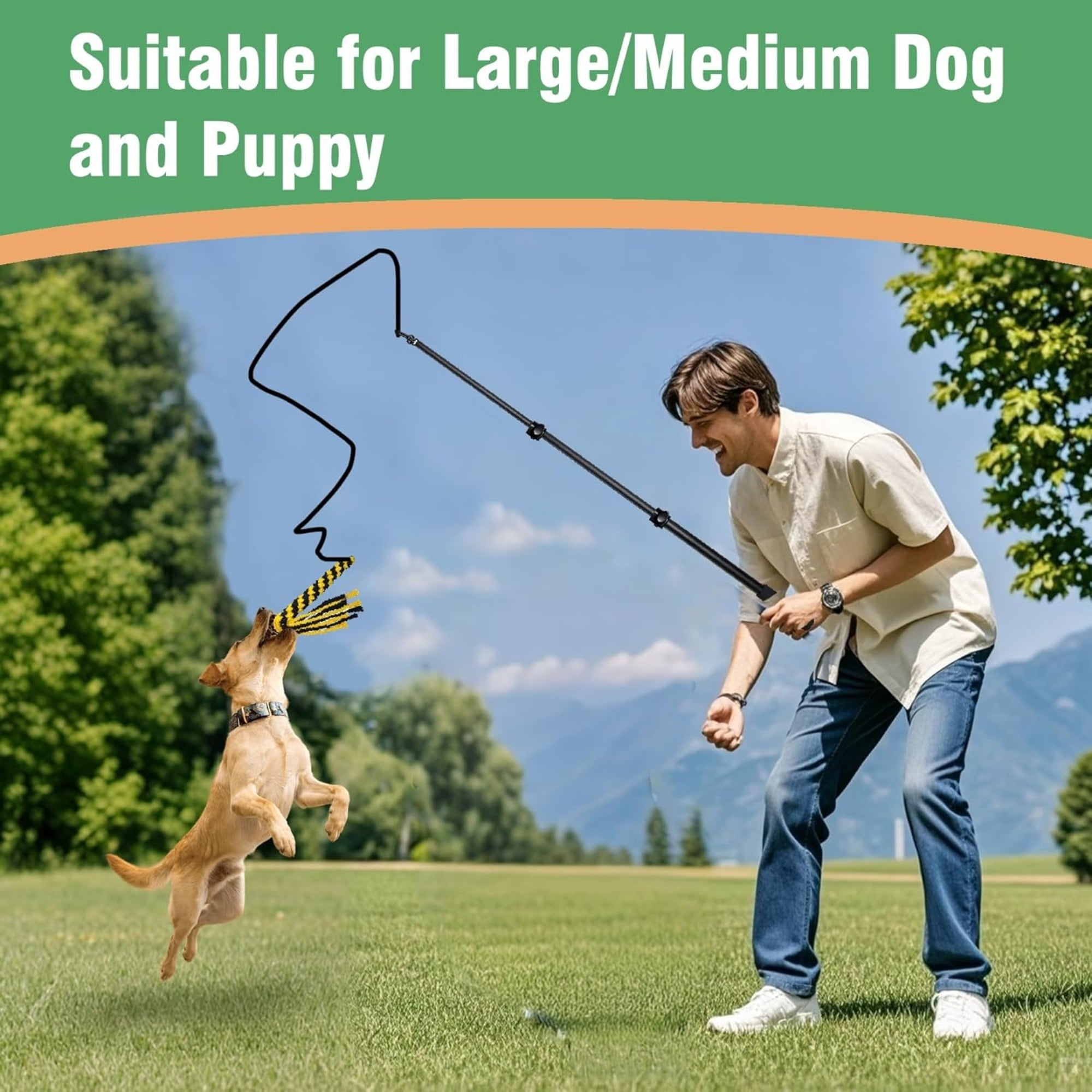 Becare pet  Heavy Duty Flirt Pole for Large Medium Small Dogs, Extendable Aluminum Alloy Dog Teaser Wand, Interactive Outdoor Training Exercise Toy