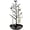 B-Metal Black, variant on Jewelry Display Necklace Earring Organizer Holder Metal Birds Tree Stand with Tray Antique Bracelet Rings Rack Tower Decoration for Women Girl