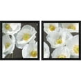 thumbnail image 1 of Great Art Now Poppies on Chalkboard by Leonardo Sanna, 2 Piece Framed Art Set Each 13"W x 13"H, 1 of 3