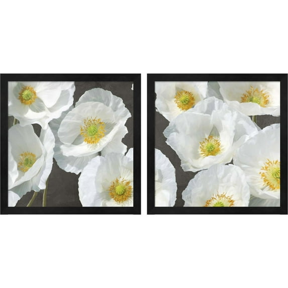 Great Art Now Poppies on Chalkboard by Leonardo Sanna, 2 Piece Framed Art Set Each 13"W x 13"H