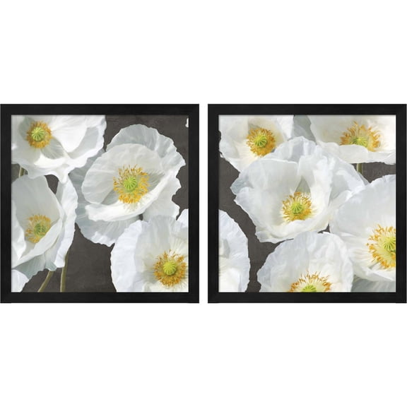 Great Art Now Poppies on Chalkboard by Leonardo Sanna, 2 Piece Framed Art Set Each 13"W x 13"H