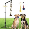 thumbnail image 1 of Cuerda de juguete Tether Outdoor para perros AugFir con resorte reforzado, 1 of 7
